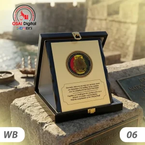 BOX TOKEN 06